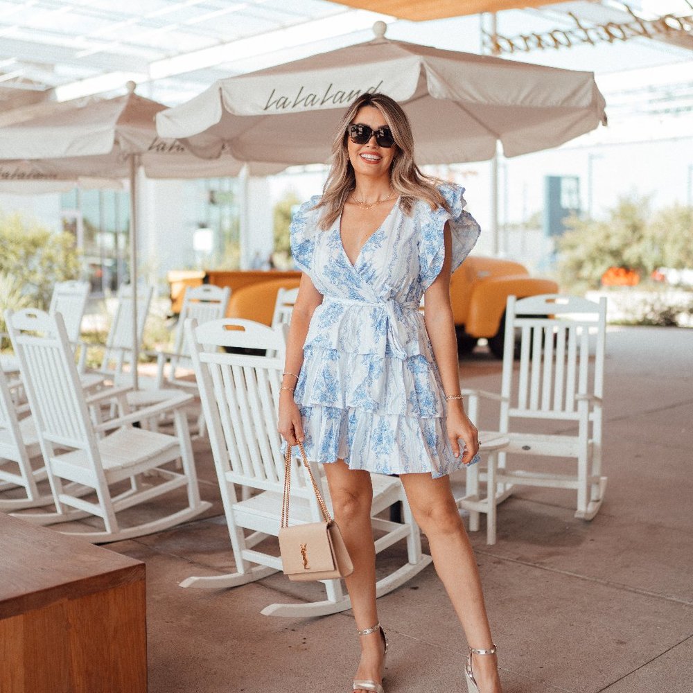 Blue Toile Dress Size Small NWOT